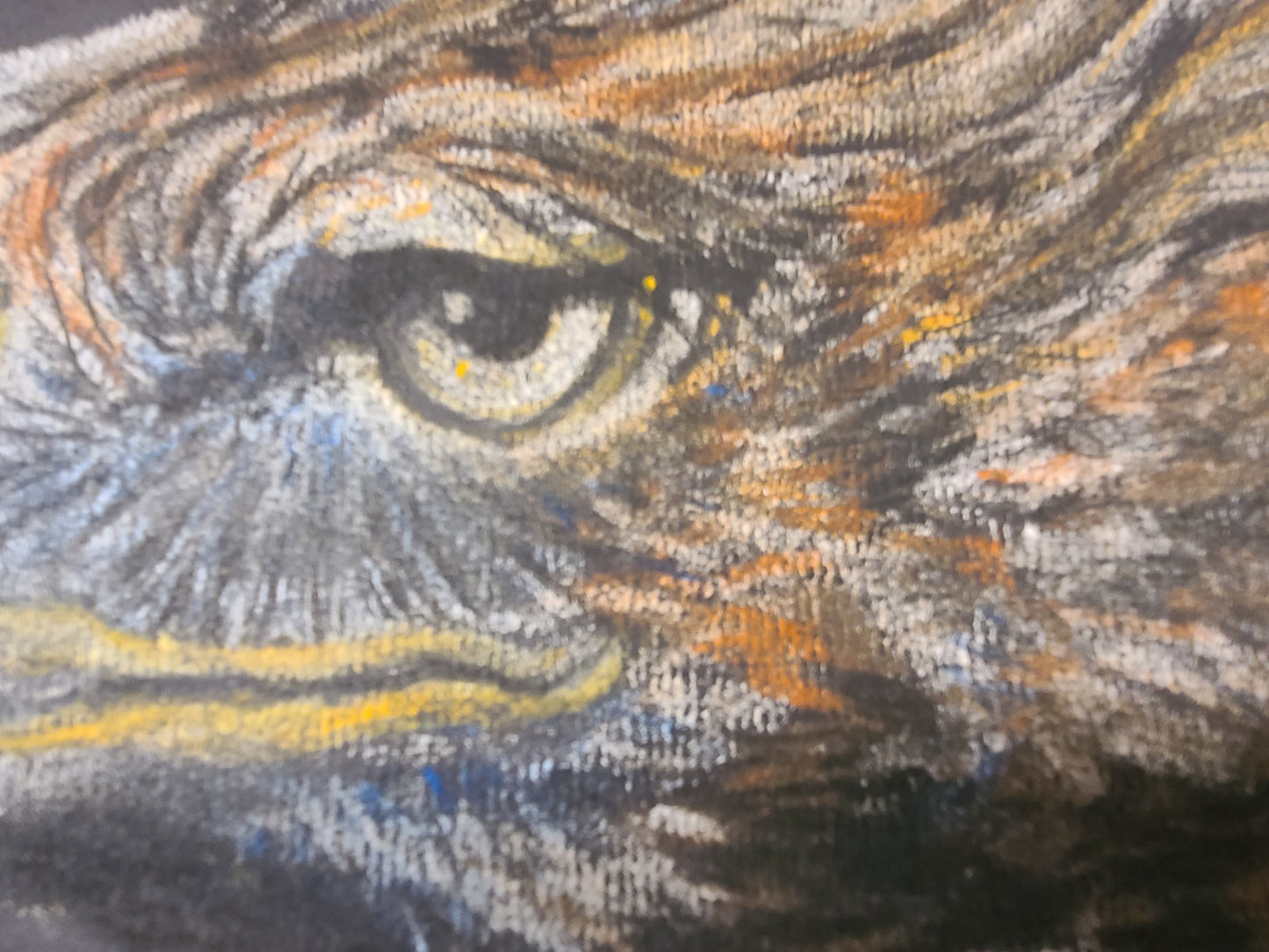 Traditional Art - Eagle up Close