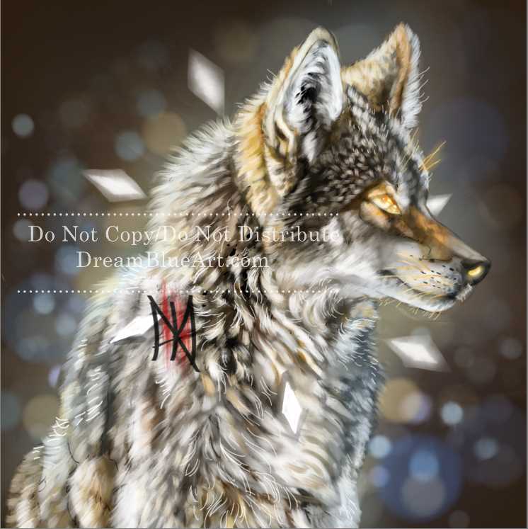 Coyote Wisdom Energy - Digital Download