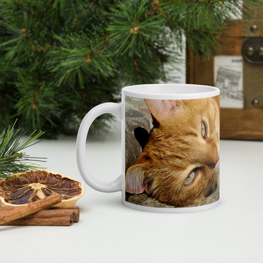 Orange Tabby Mug